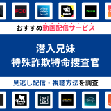 『潜入兄妹　特殊詐欺特命捜査官』ドラマの見逃し配信は？無料配信・再放送まで調査！