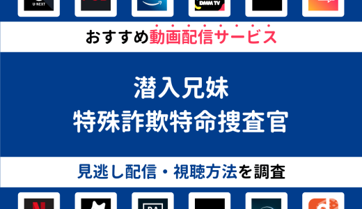 『潜入兄妹　特殊詐欺特命捜査官』ドラマの見逃し配信は？無料配信・再放送まで調査！