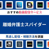 『離婚弁護士スパイダー』ドラマの見逃し配信は？無料配信・再放送まで調査！